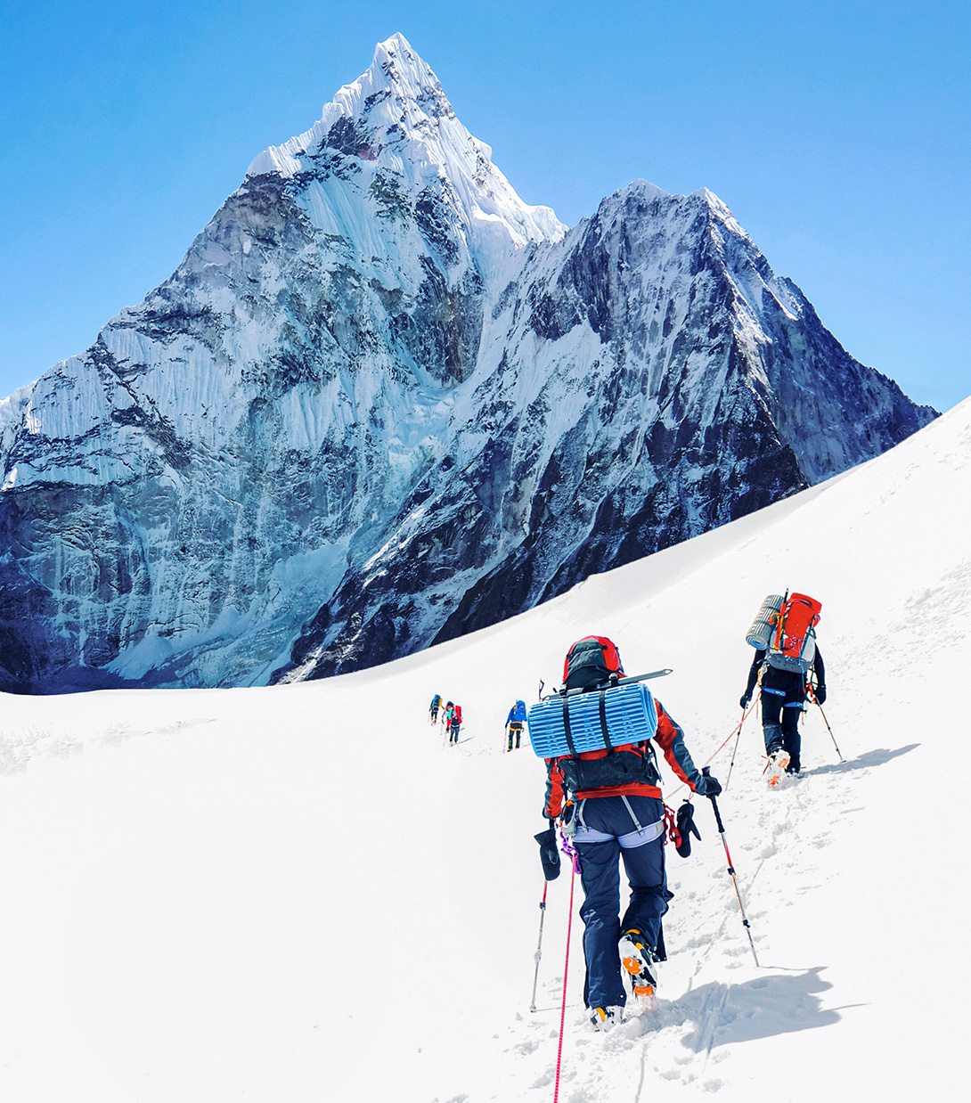 w88win优德(中国)官方网站