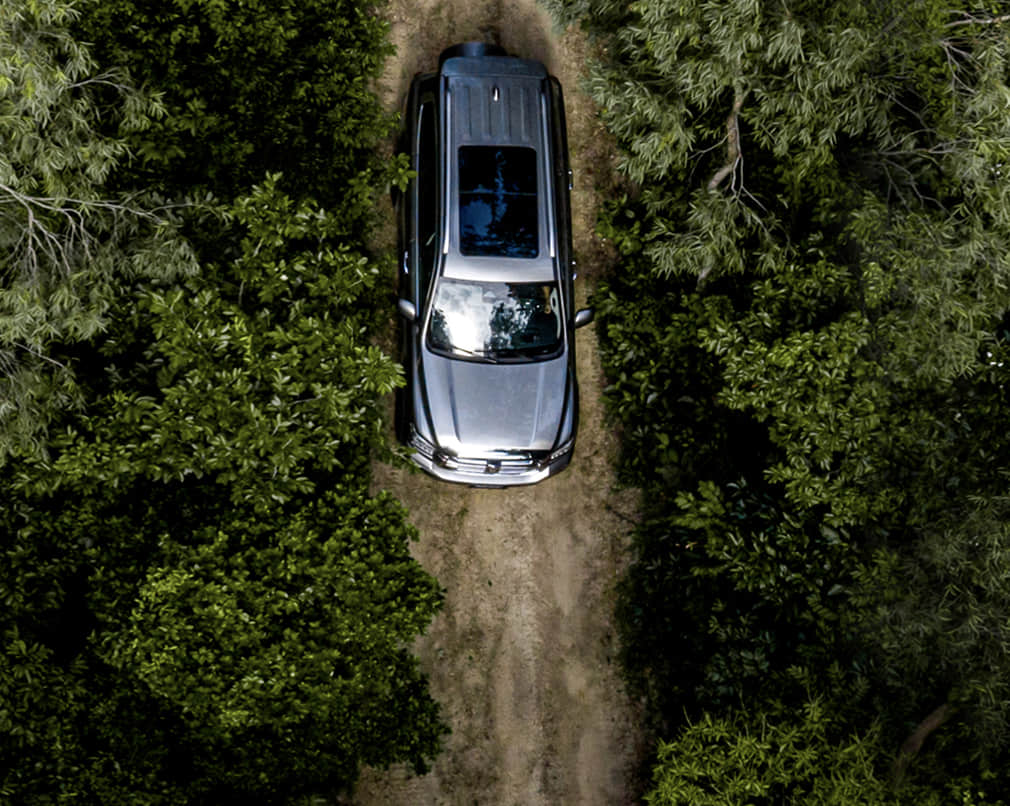 w88win优德(中国)官方网站